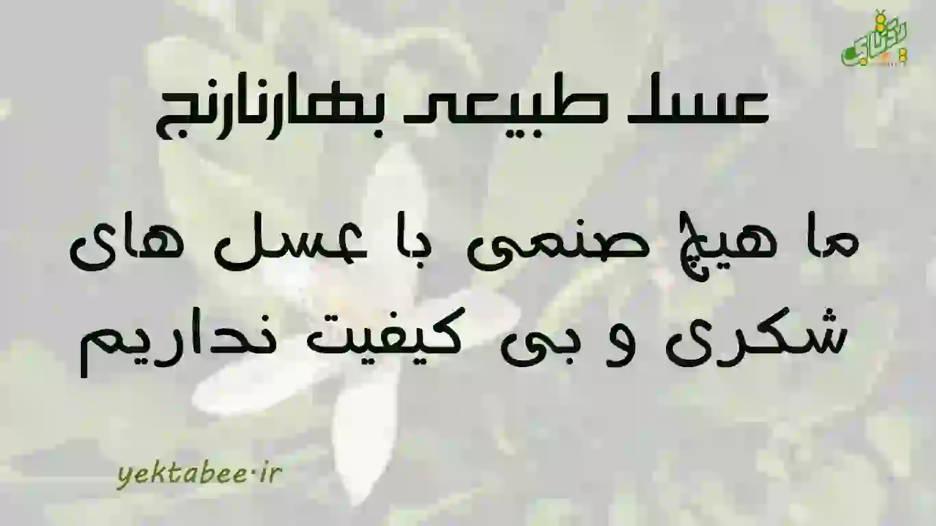 قیمت فروش عسل طبیعی بهارنارنج 1 فروش عسل طبیعی بهارنارنج