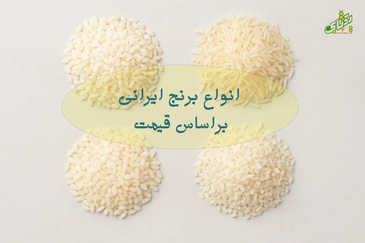 انواع برنج ایرانی به ترتیب قیمت روز 1 انواع برنج ایرانی به ترتیب قیمت روز