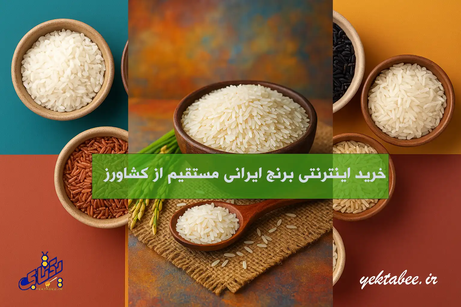 خرید اینترنتی برنج ایرانی مستقیم از کشاورز 1 خرید اینترنتی برنج ایرانی مستقیم از کشاورز