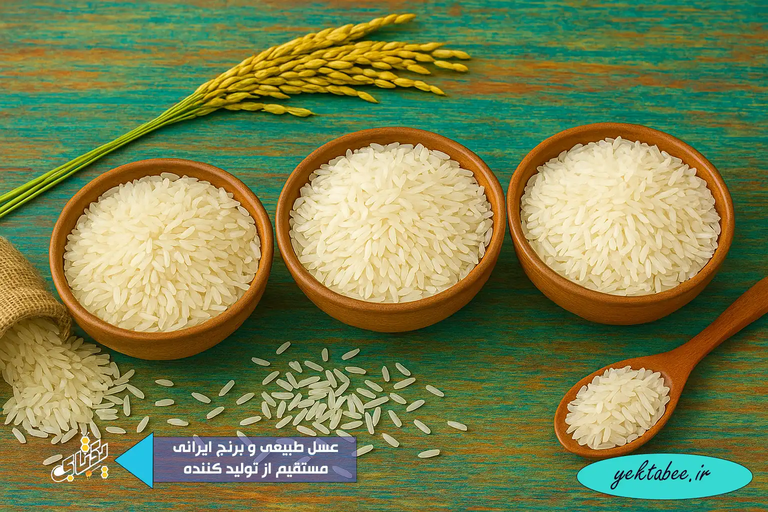 مقایسه برنج ایرانی پاکستانی هندی + نحوه تشخیص 1 مقایسه برنج ایرانی پاکستانی هندی + نحوه تشخیص