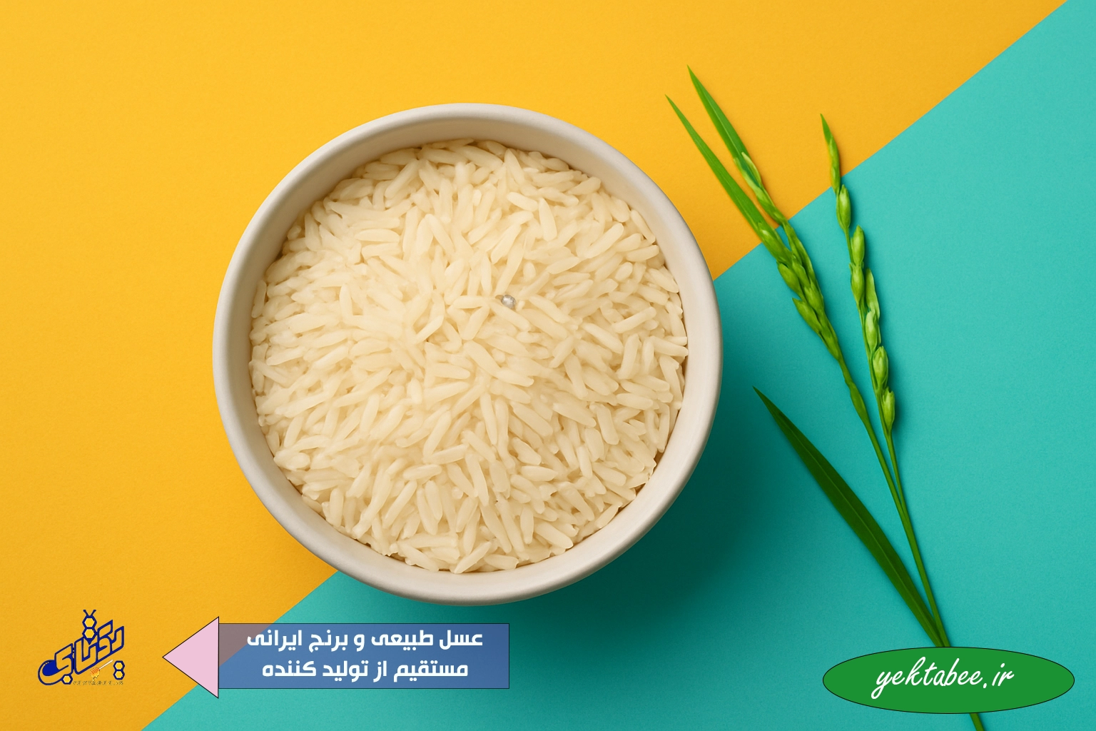 برنج ایرانی طارم کیلو چند است؟ +انواع برنج طارم 1 برنج ایرانی طارم کیلو چند است؟ +انواع برنج طارم