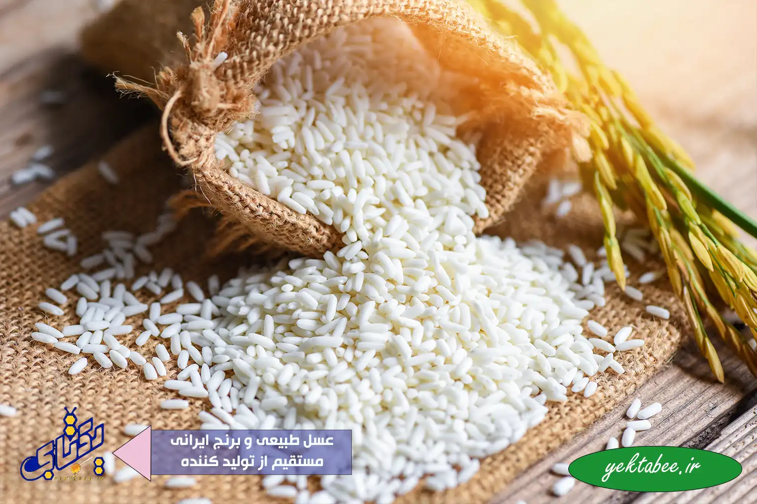 قیمت واقعی برنج طارم هاشمی درجه یک فریدونکنار 1 قیمت واقعی برنج طارم هاشمی درجه یک فریدونکنار