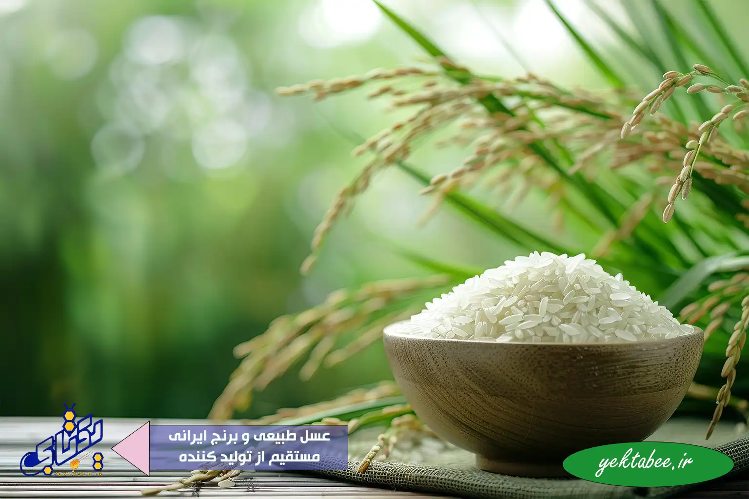 بهترین برنج عطری ایرانی کدام است؟ 1 بهترین برنج عطری ایرانی کدام است؟