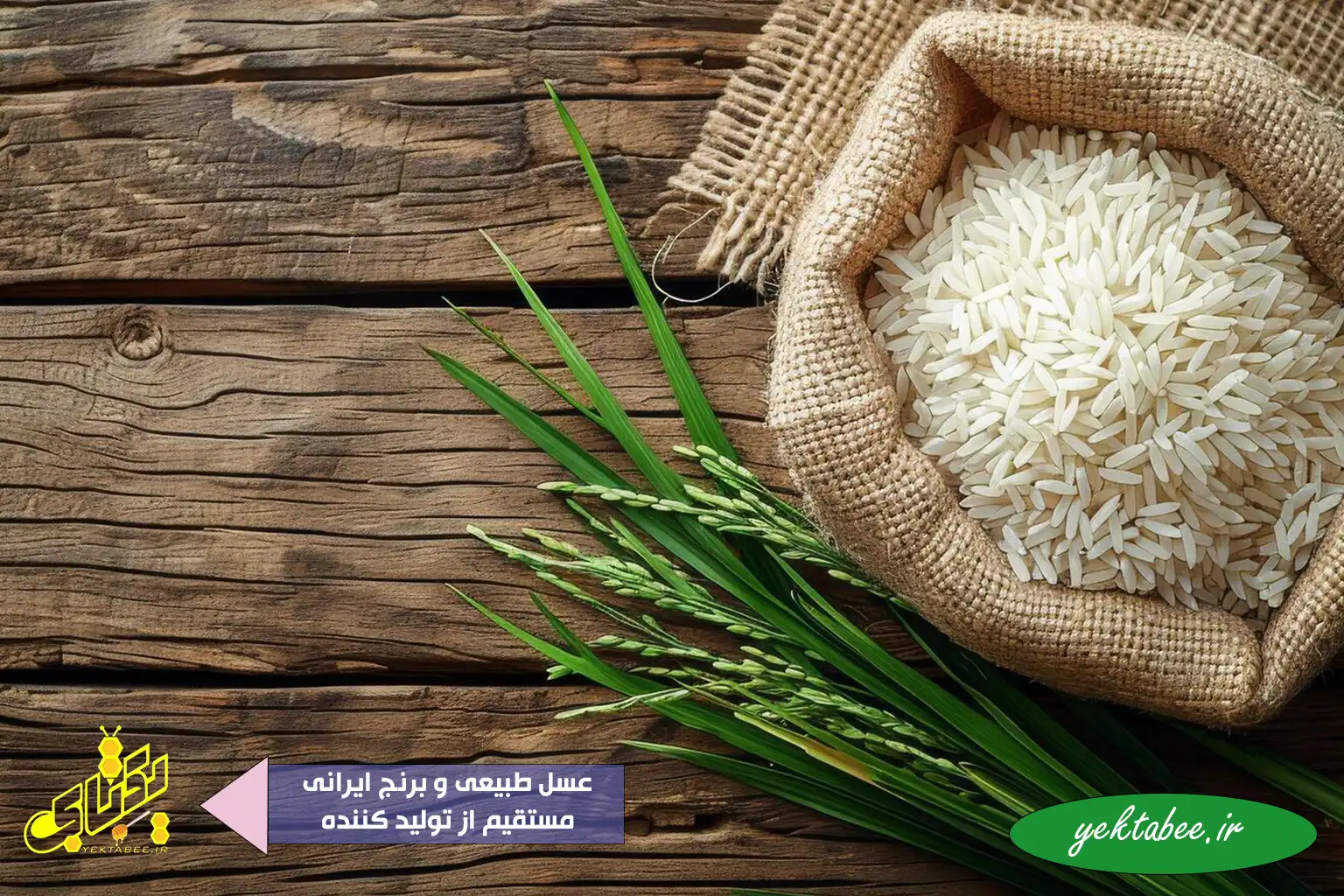 قیمت برنج طارم محلی درجه یک فریدونکنار 1 قیمت برنج طارم محلی درجه یک فریدونکنار