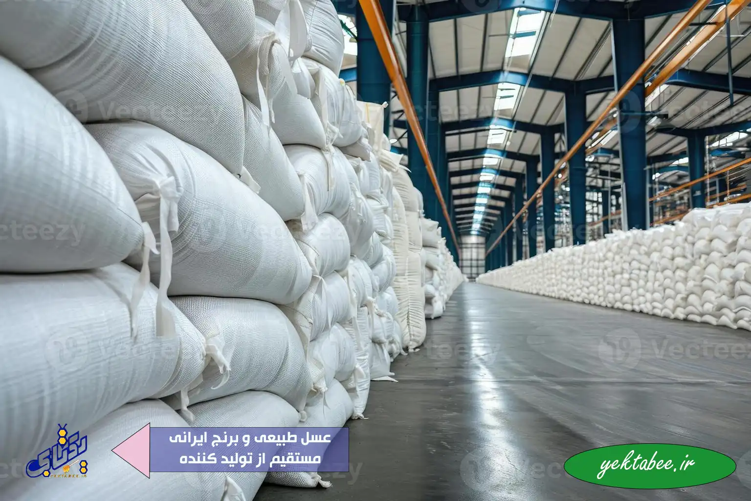 خرید عمده برنج شیرودی از شمال 1 خرید عمده برنج شیرودی از شمال
