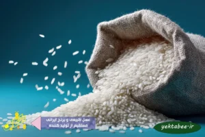 قیمت امروز انواع برنج طارم هاشمی مازندران و گیلان 2 قیمت امروز انواع برنج طارم هاشمی مازندران و گیلان