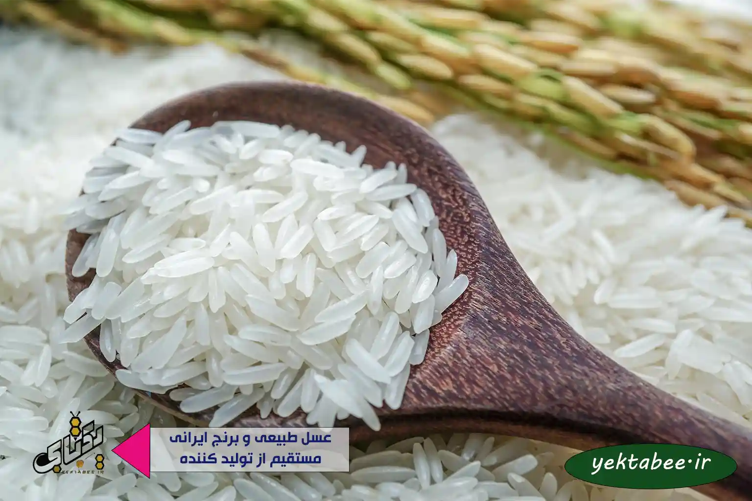 قیمت روز برنج صدری هاشمی 1 قیمت روز برنج صدری هاشمی