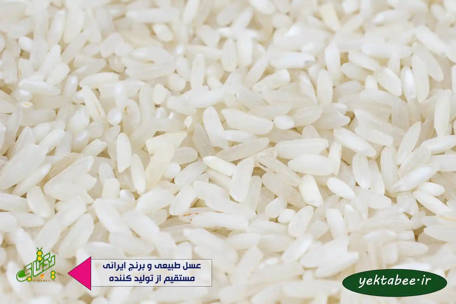 به ۵ دلیل کیفیت برنج استخوانی ندا خوبه 1 به ۵ دلیل کیفیت برنج استخوانی ندا خوبه