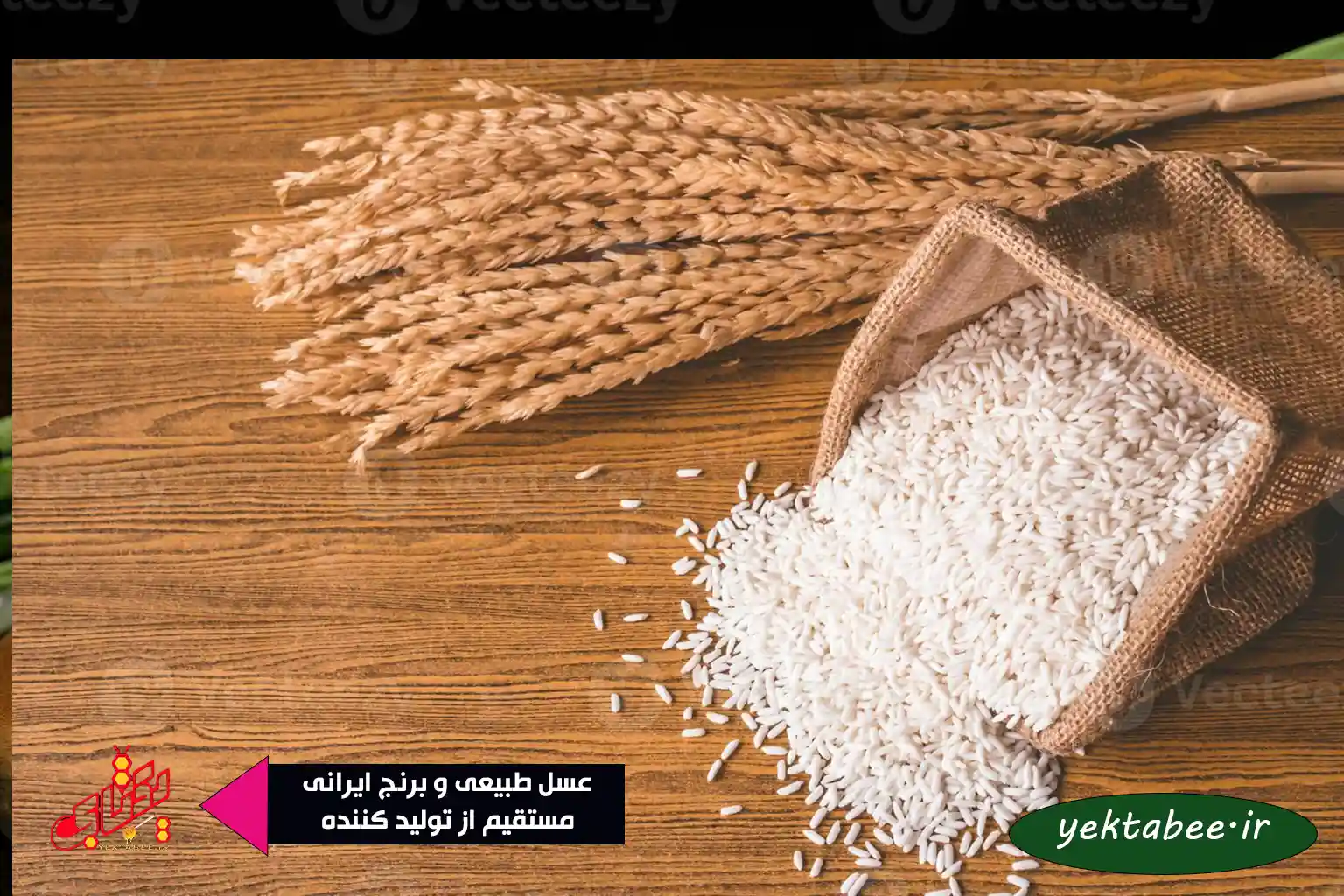 قیمت برنج شیرودی عمده 1 قیمت برنج شیرودی عمده