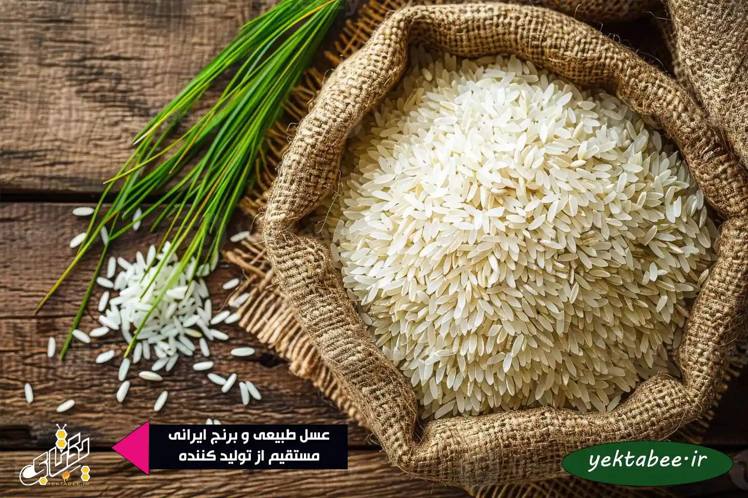 بهترین برنج گیلان در کدام شهر است؟ 1 بهترین برنج گیلان در کدام شهر است؟