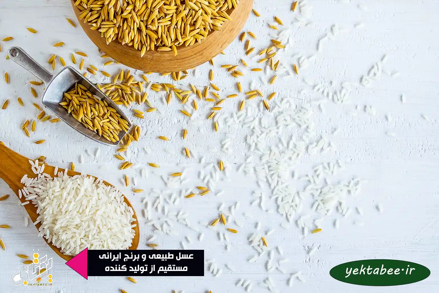 مقایسه انواع برنج گیلان و مازندران + بهترین کدام است؟ 1 مقایسه انواع برنج گیلان و مازندران + معرفی بهترین برنج شمال