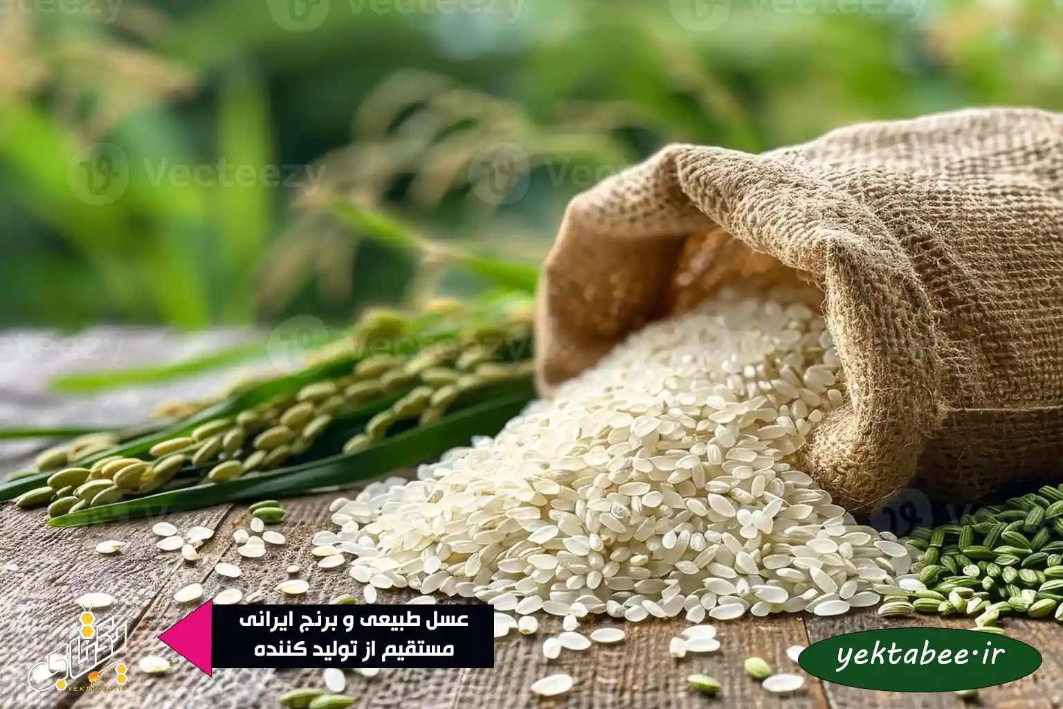 برنج گرده چیست؟ انواع برنج گرده +کدام بهتر است؟ 1 برنج گرده چیست؟ انواع برنج گرده +کدام بهتر است؟