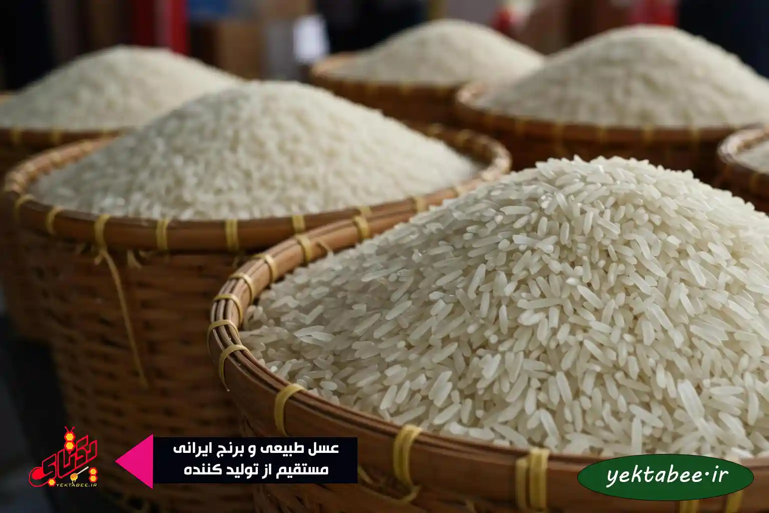 راهنمای کامل خرید عمده برنج شمال برای کسبوکارها 1 خرید عمده برنج شمال