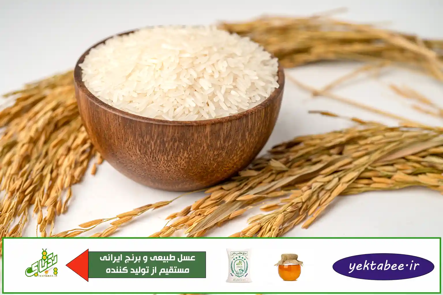 قیمت عمده برنج هاشمی درجه یک 1 قیمت عمده برنج هاشمی درجه یک