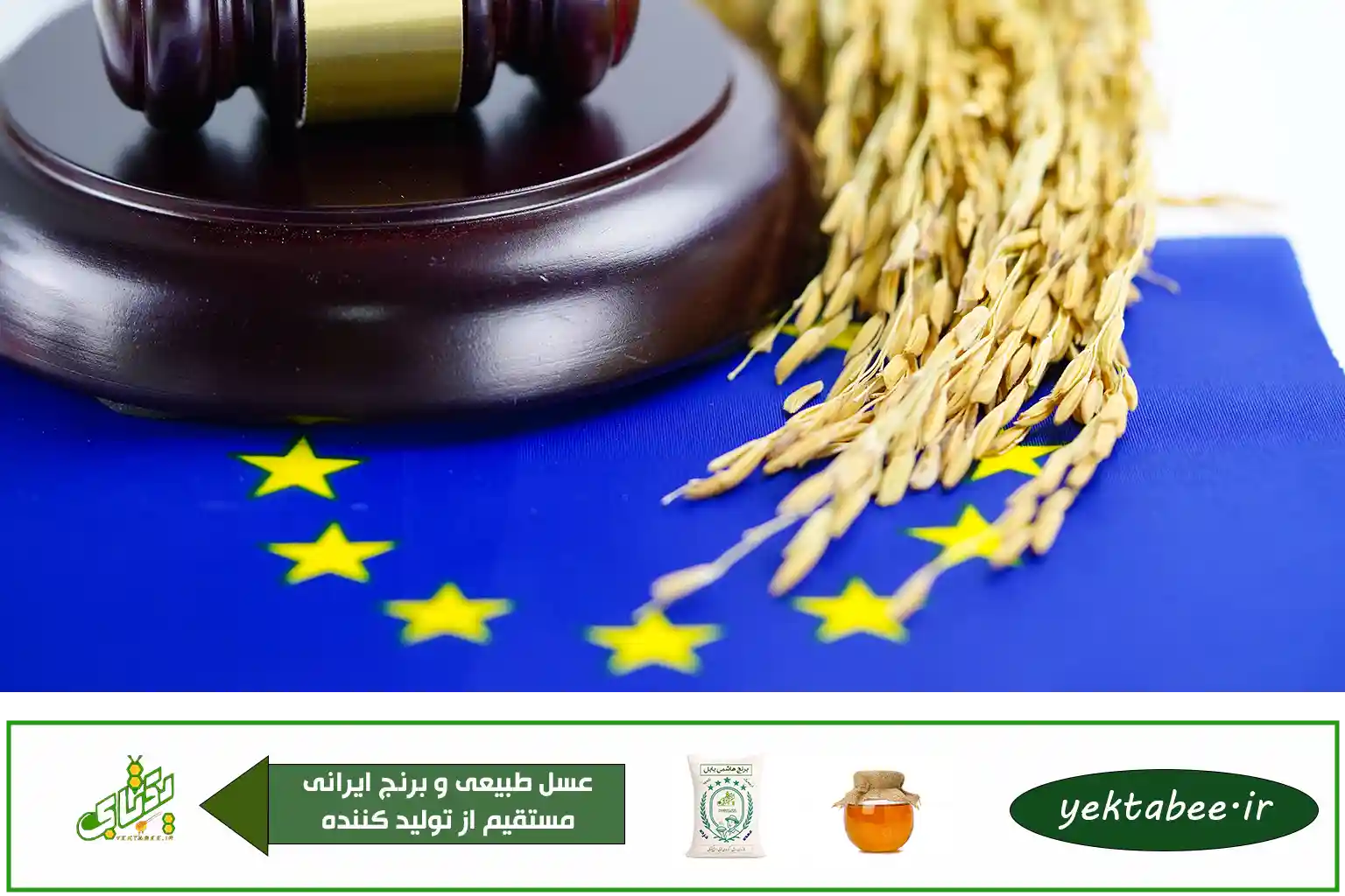 بهترین برنج ایرانی در کدام شهر است؟ + برنج رتبه 1 تا 3 1 بهترین برنج ایرانی در کدام شهر است؟ + برنج رتبه 1 تا 3
