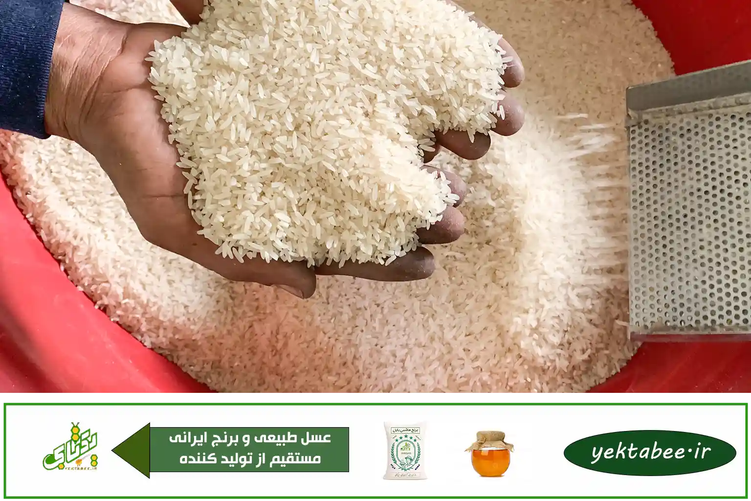 قیمت خرید عمده برنج طارم فریدونکنار 1 قیمت خرید عمده برنج طارم فریدونکنار