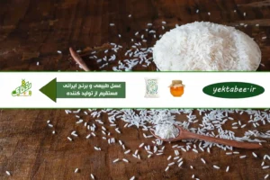 بهترین برنج شمال کدام شهر است؟ + قیمت 4 بهترین برنج شمال کدام شهر است؟ + قیمت