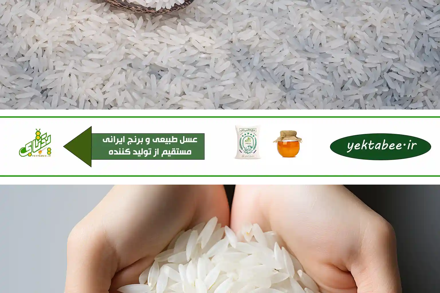 خرید برنج طارم کشت دوم درجه یک با قیمت واقعی بازار 1 خرید برنج طارم کشت دوم درجه یک با قیمت واقعی بازار