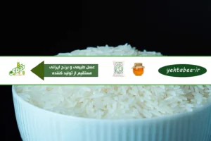 خرید برنج هاشمی ساحل کنار با بهترین قیمت آنلاین 2 خرید برنج هاشمی ساحل کنار با بهترین قیمت آنلاین